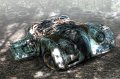 46 - jaguar with fog - BECKER Reinhard - germany